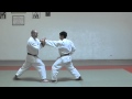 Jitte Bunkai Karate For The Elite Athlete JKA Karate Shotokan WKF Learn Karate