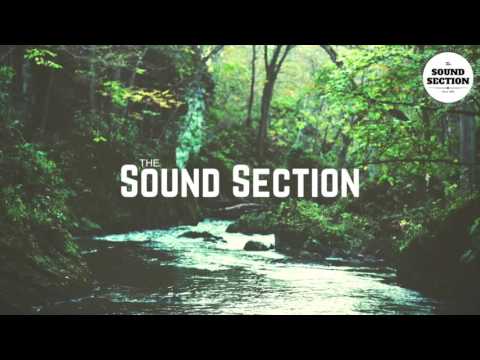 The Him - Don't Leave Without Me (Ft. Gia Koka)