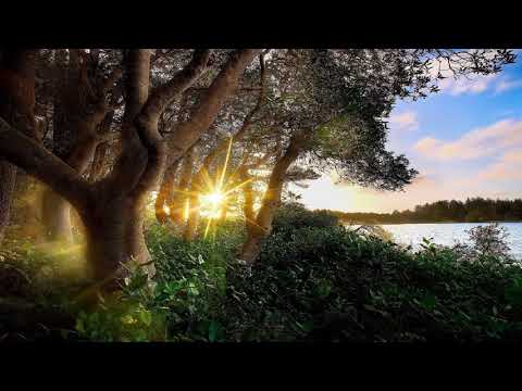 Start a Brighter Day (Liquid Drum & Bass 2015 Yearmix)