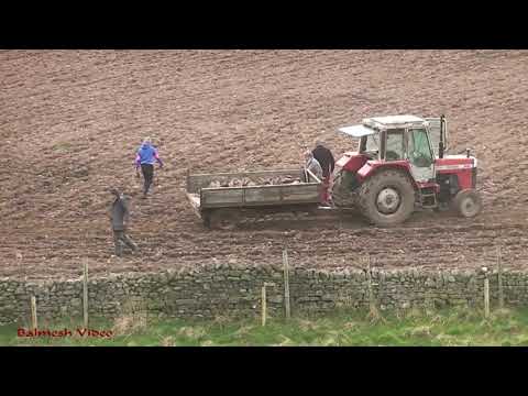 Stone Picking the Ploughed Land.