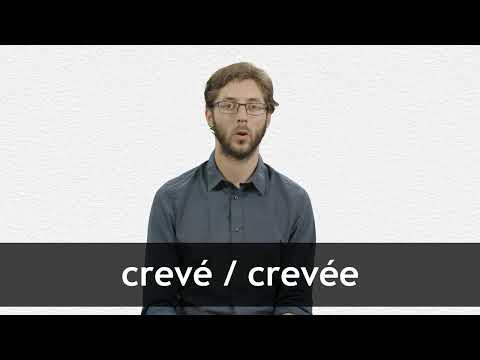 English Translation of CREVÉ Collins French English Dictionary