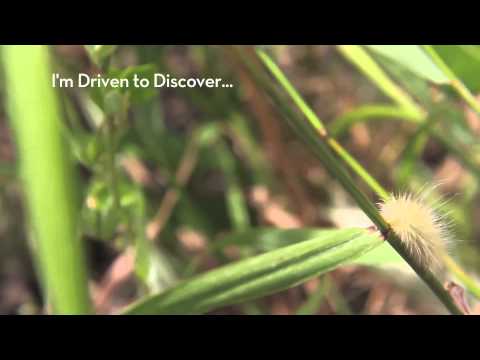 Sample student video contest video - 15 seconds