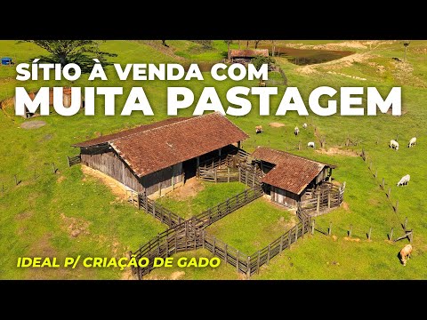 SÍTIO À VENDA EM SANTA CATARINA IDEAL PARA CRIAÇÃO DE GADO