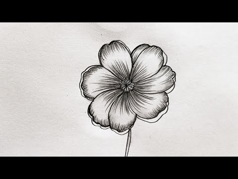 How to draw a beautiful flower - Easy flower drawing - Flower drawing tutorial for beginners