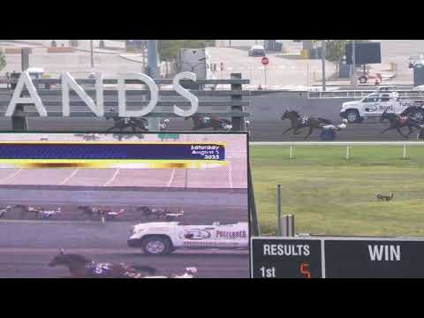 2023 -- Hambletonian Oaks --Heaven Hanover 1:50.3