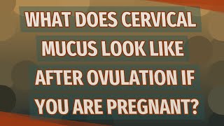 What does cervical mucus look like after ovulation if you are pregnant?