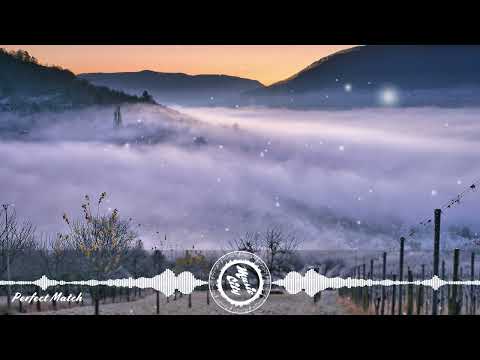 TAPE MACHINES FEAT. VICKI VOX - Perfect Match