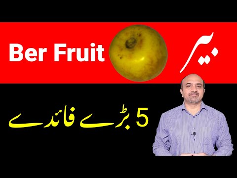 , title : 'Health benefits Of Ber Fruit | Ber Fruit Kay Faiday | dr Afzal'