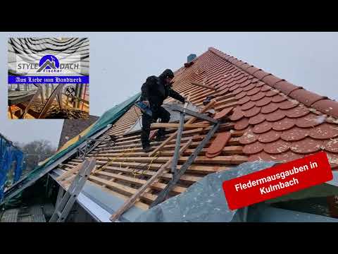 Fledermausgauben in Biber