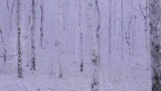 [AS BUMP] Burial - Wounder [2020]