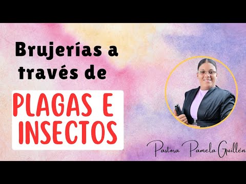 Enviaciones de brujerías a través de plagas e insectos // Pastora Pamela Guillen