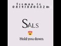 Hold you down Audio song by sals fatee tee