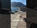Italy Travel