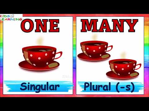 One and Many (Singular and Plural)