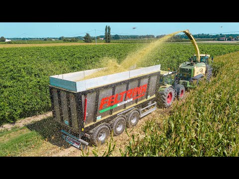 New Krone BiG X 630 + Claas Xerion 5000 Trac VC | AIA RICCI