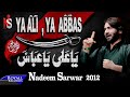 Nadeem Sarwar Ya Ali Ya Abbas 2012
