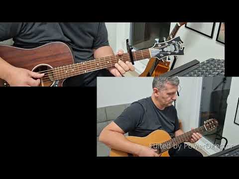 Šta će meni vino - Milan cover