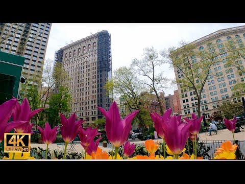 Walking Broadway Lafayette Street to Flat Iron Building