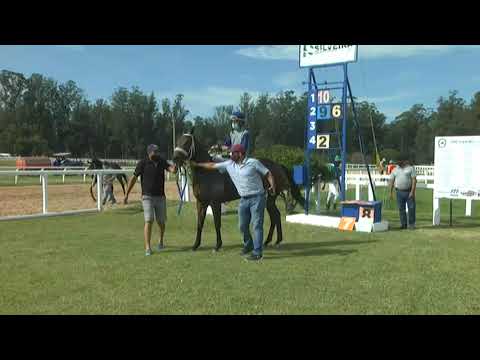 210408 c03 - 1° ANGLICANA AVE  - CARRERAS SINT MELO -