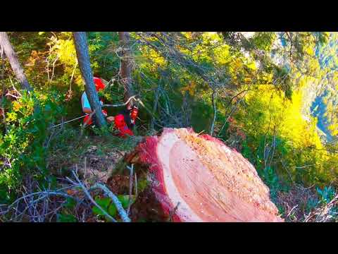 Pulizia sentieri!! Val Zemola ERTO 2019