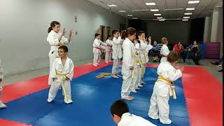 Exhibición judo: Caida horizontal