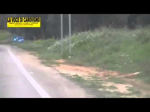 La Voce di Carovigno -CAROVIGNO,INCIDENTI STRADALI NEL PERIODO ESTIVO - MODERATE LA VELOCITA'.