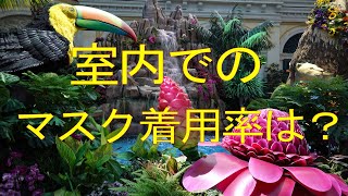 ここは室内。屋外とちがって空気の流れは悪い。はたしてマスク着用者に遭遇できるか。
