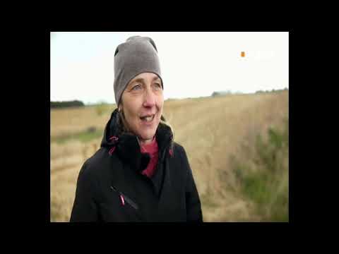 Doku | Historische Militärtechnik | Panzer | Gewehre | Schwerter | Teil 2v2