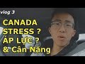 CUỘC SỐNG TẠI CANADA CỦA YOUTUBER NÀY NHƯ THẾ NÀO?