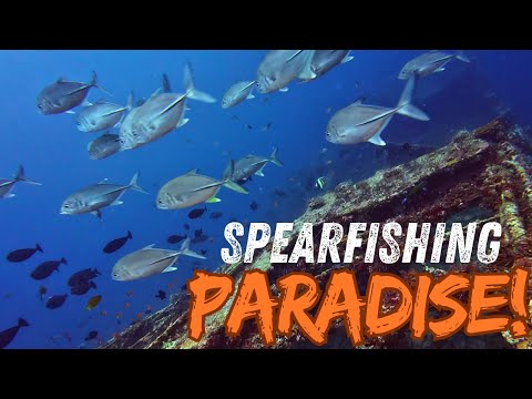 Nahanap namin ang PARAISO! | World Class Spearfishing Spot ng Sitangkai, Philippines!