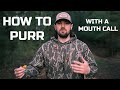 HOW TO PURR ON A MOUTH CALL World Champion Turkey Caller Explains Purring On A Diaphragm