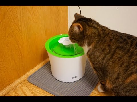 Invention a Day – Episode #328: The Cat Water Fountain