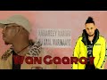 DONI B X JR BOY | WAAN GAARAY |OFFICIAL MUSIC VIDEO