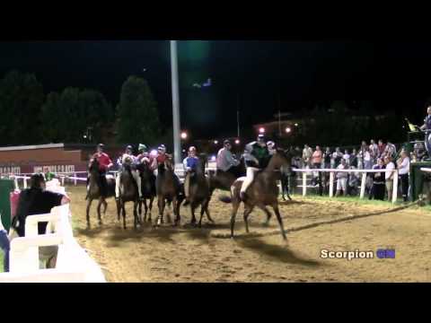 Torneo Equestre del Monferrato - LA FINALE