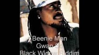 Beenie Man- Gwan So- Black Widow Riddim