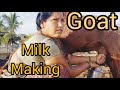 Viral Goat Milk Making Vlog