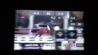 Diamond, Up To Date x Dutchboy, 7y, 130 class