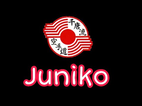 Chito-Ryu 千唐流 Karate ~ Juniko (12 movements) Drill
