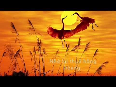 Thể hiện bởi JB Thanh Hưng