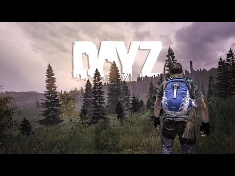 My DayZ 1.19 Experience