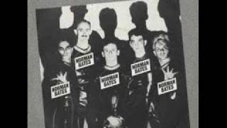 LANDSCAPE - From The Tea Rooms of Mars ...