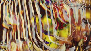 Jemh Circs - Animals…..Animals