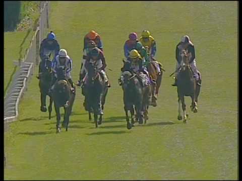 IPPODROMO DI MERANO-22.5.2016-PR.MERANO 2000