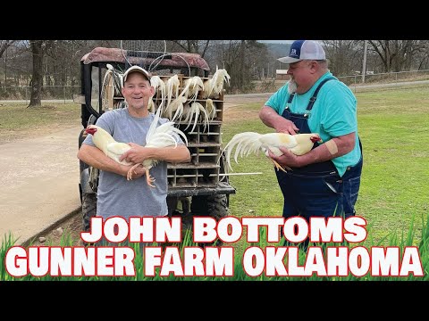John Bottoms Gunner Farm Oklahoma - Beautiful Birds Farm Visit