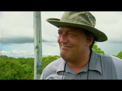 Last Chance to See ep1: Amazonian Manatee (2009)