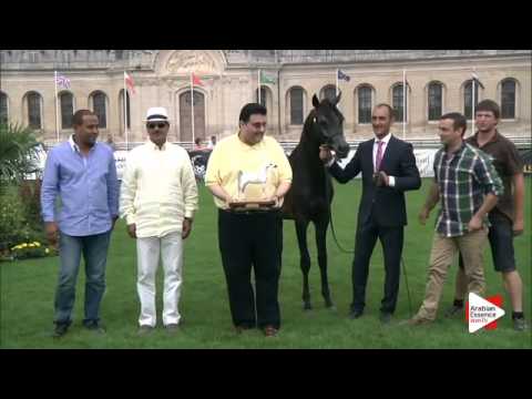1st Place N.49 AMAAR AL NASSER - Chantilly 2015 AWC - Yearling Colts Championship (Class 14)