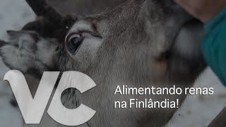preview picture of video 'Alimentando renas na Finlândia! // Feeding the reindeers in Finland!'