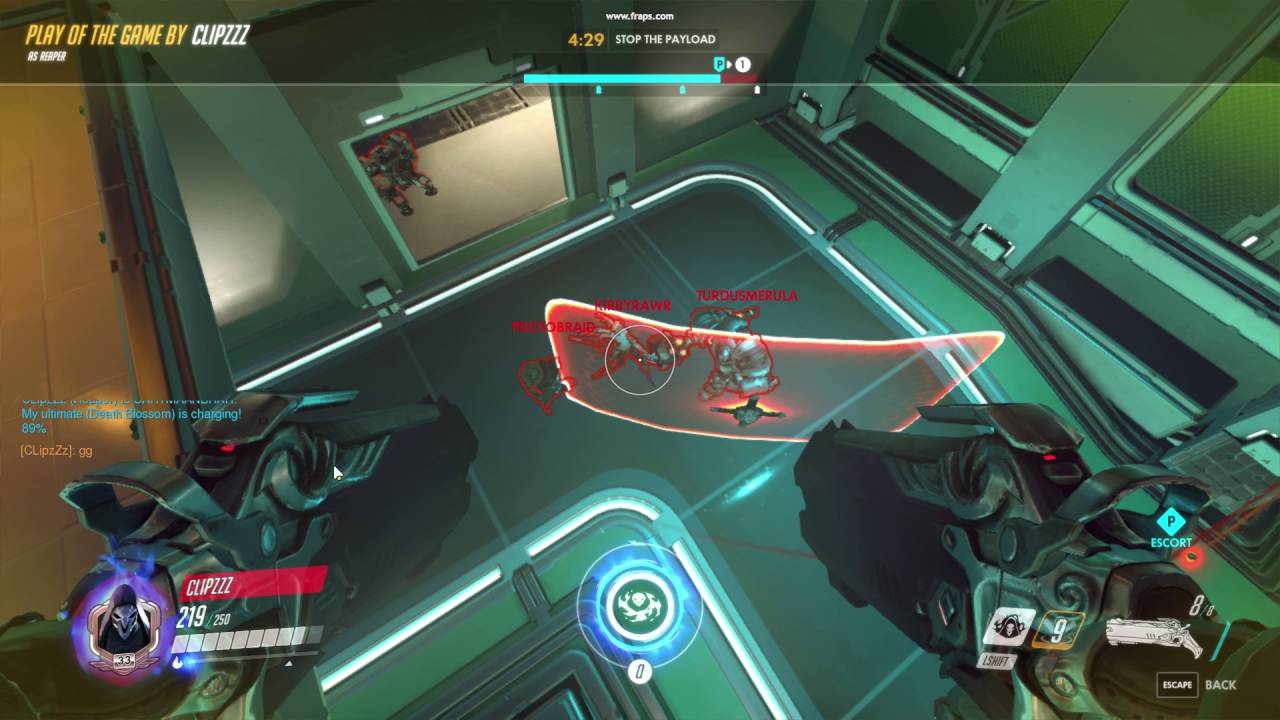 Overwatch : Reaper Ultimate Team Kill!!