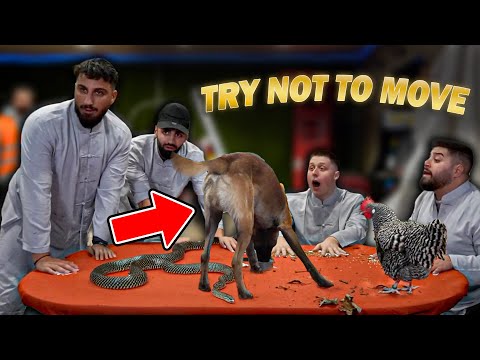 Jordan & Semih TRY NOT TO MOVE Challenge (extrem)