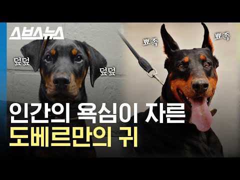 아이콘